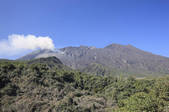 tkf001_828140