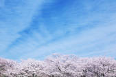 tkf001_829401