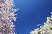tkf001_829403