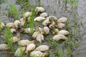 tkf001_829785