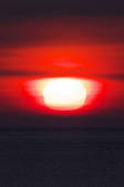 tkf001_830215