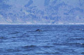 tkf001_830260