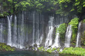 tkf001_830758