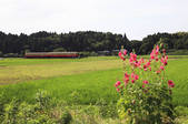 tkf001_832179