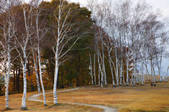 tkf001_836406