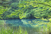 tkf001_836756