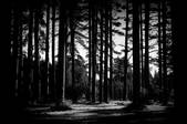 tkf001_460796