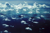tkf001_463249