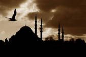 tkf001_467500