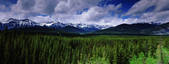 tkf001_470230