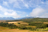 tkf001_472459