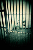tkf001_472963