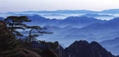 tkf001_475997