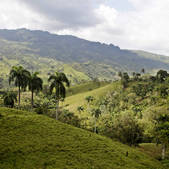 tkf001_485626