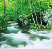 tkf001_487658