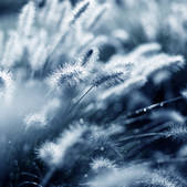 tkf001_489972