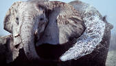 tkf001_496127