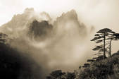 tkf001_498422