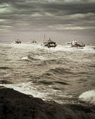 tkf001_502567