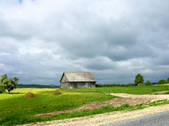 tkf001_506379