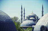 tkf001_510392