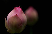 tkf001_551823