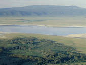 tkf001_551966