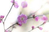 tkf001_552415