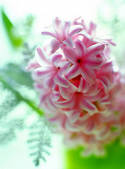 tkf001_552539