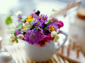 tkf001_553029