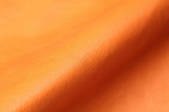 tkf001_553203