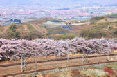 tkf001_553285