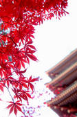tkf001_553864