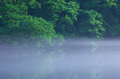 tkf001_554034