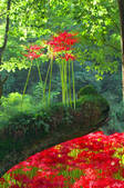 tkf001_554306