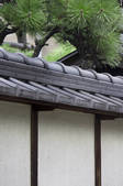 tkf001_554496