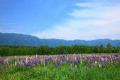 tkf001_554616