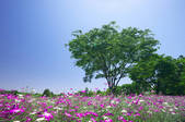 tkf001_554931