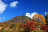 tkf001_555010