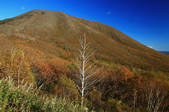 tkf001_555352