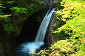 tkf001_555469