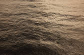 tkf001_555566