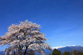 tkf001_555701