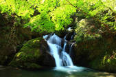 tkf001_555872