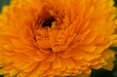 tkf001_556303