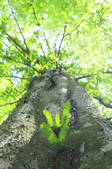 tkf001_556326