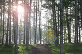 tkf001_556609