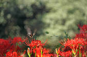 tkf001_556716
