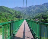 tkf001_557278