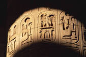 tkf001_557446